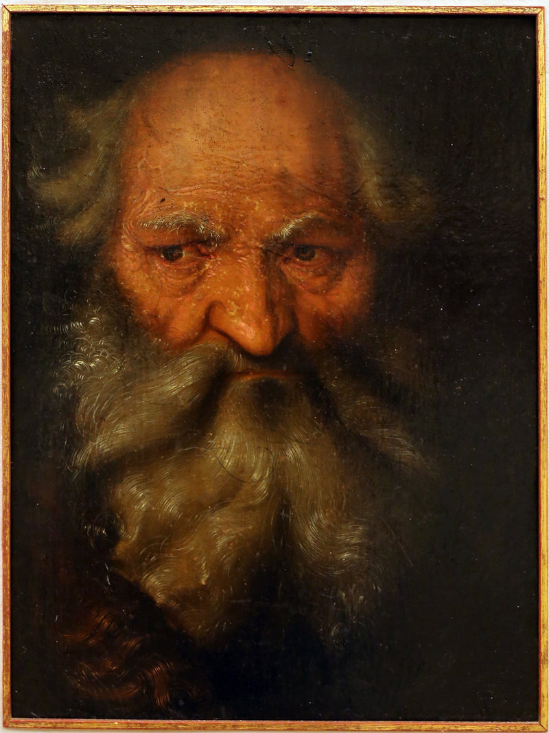 Yaşlı bir adamın başı - Hans Baldung Grien