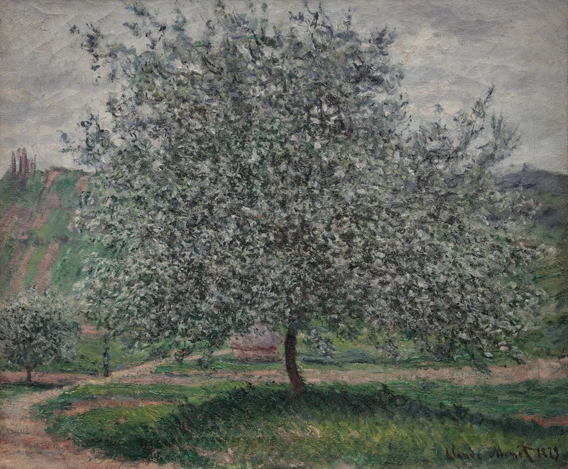 Çevirisi mevcut olmayan başlık - Claude Monet