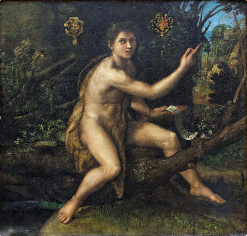 Çöl'deki Aziz Yuhanna - Raphael Sanzio