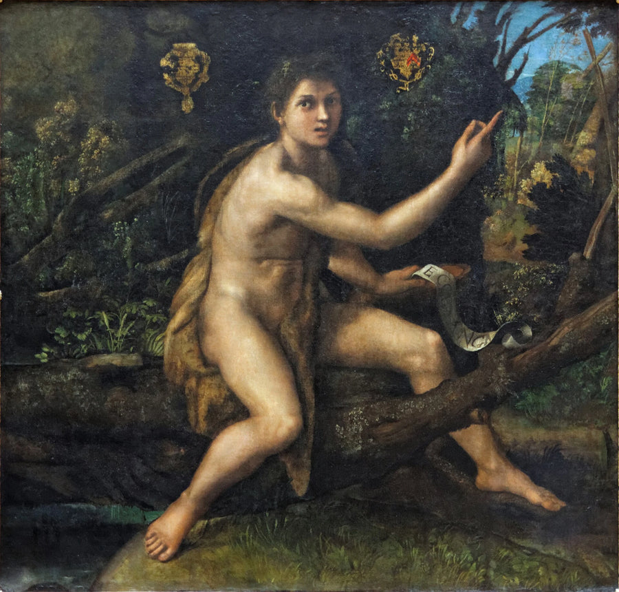 Çöl'deki Aziz Yuhanna - Raphael Sanzio