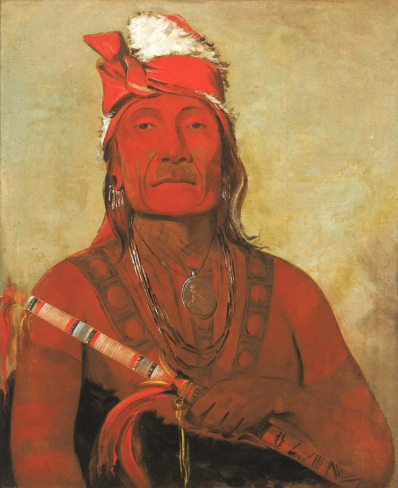 Toh-kí-e-to, boynuzlu taş, bir şef - George Catlin