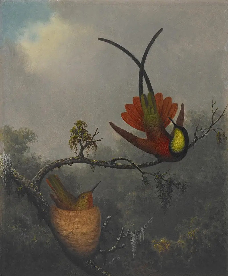 Kızıl Topaz - Martin Johnson Heade