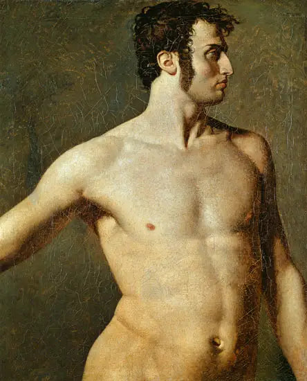 Erkek Torso - Jean-Auguste-Dominique Ingres