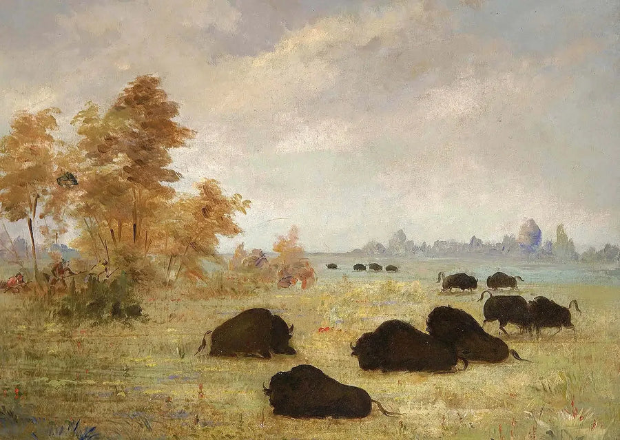 Bizons Takibi, Arkansas - George Catlin