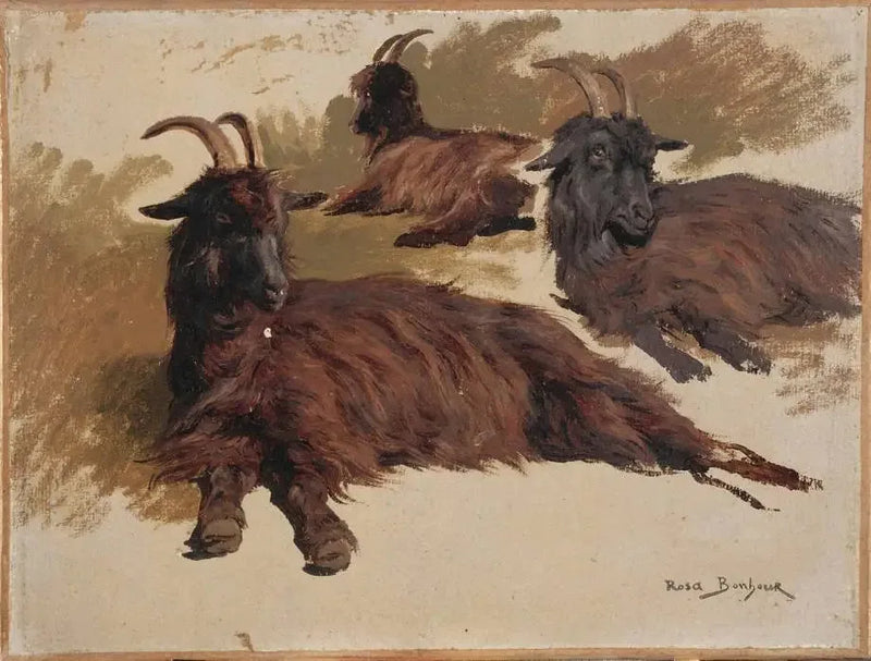Dinlenmiş Üç Keçi - Rosa Bonheur