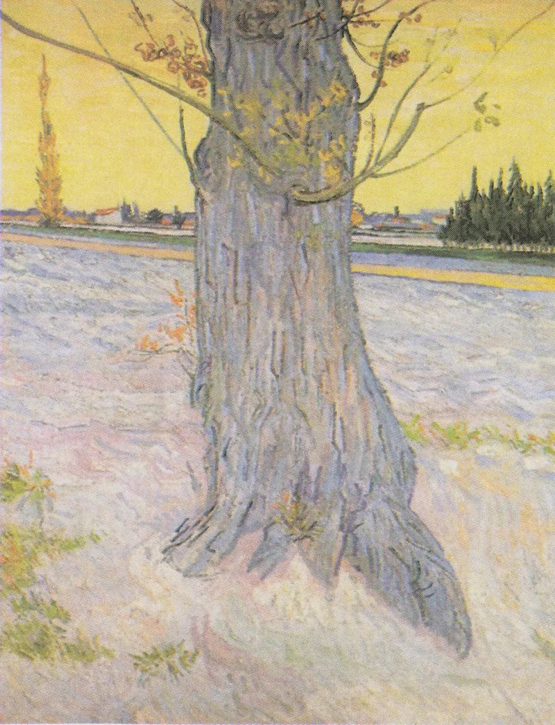 Eski bir sığla gövdesi - Vincent van Gogh