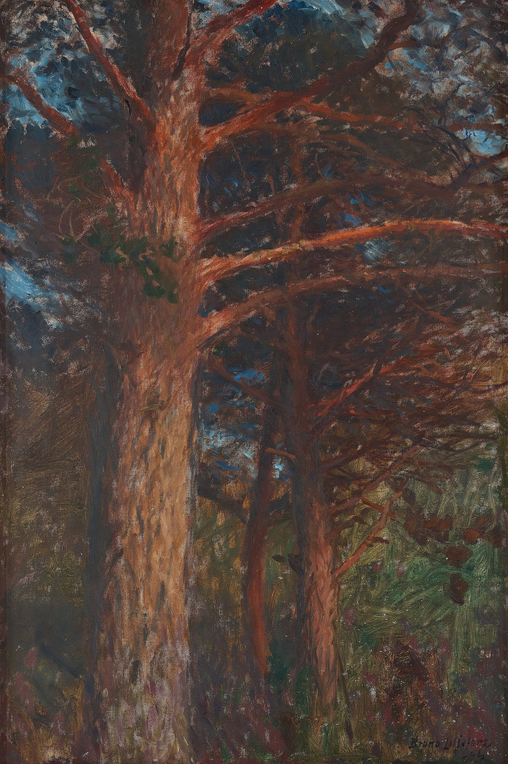 Troncs de pins après le coucher du soleil - Bruno Liljefors