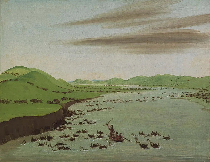 Yüksek-Missouri'yi geçen bizon sürüleri - George Catlin