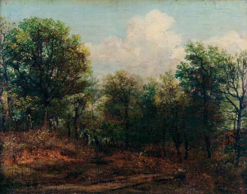Un bois - John Constable - Alpha Reproduction