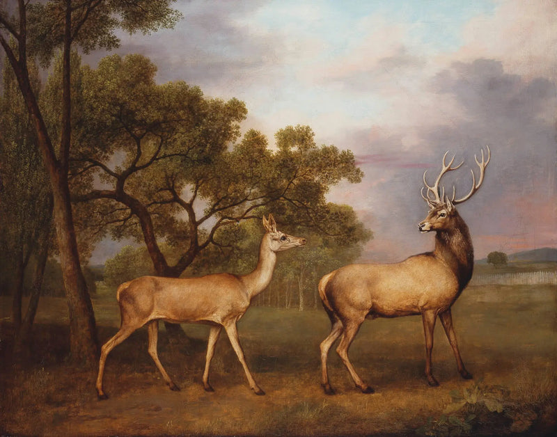 Bir erkek yaban geyikleri ve bir dişi - George Stubbs