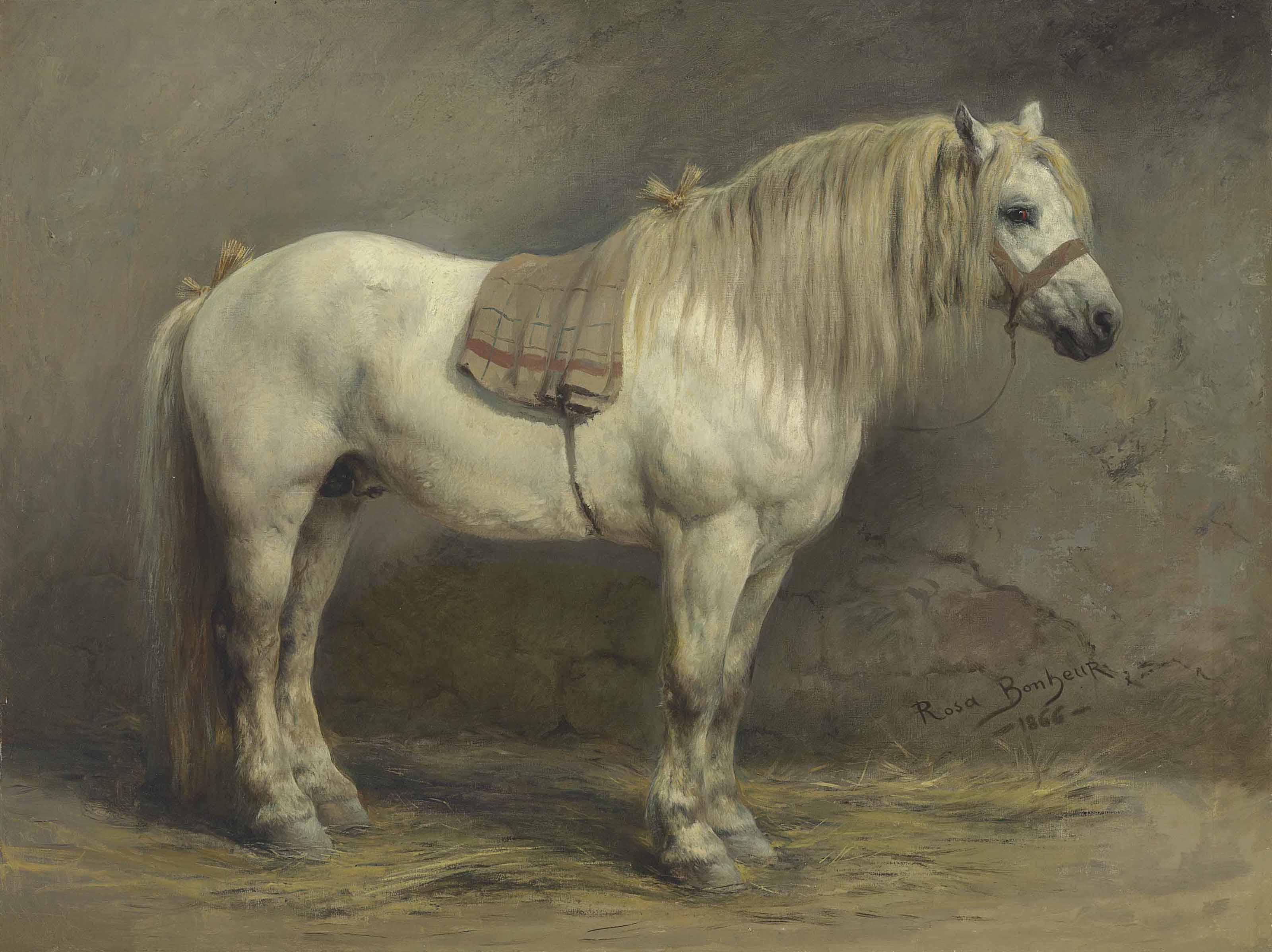Un cheval blanc - Rosa Bonheur