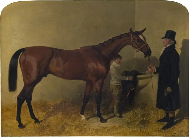 Bir yarış atı, ahırda - John Frederick Herring, Sr.
