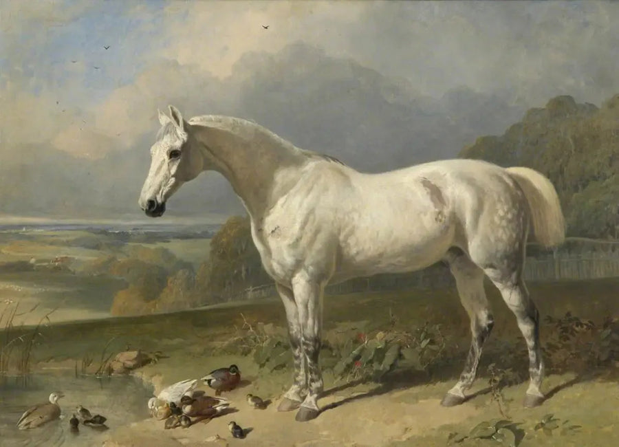 Gri bir at ve ördekler bir manzarada - John Frederick Herring, Sr.