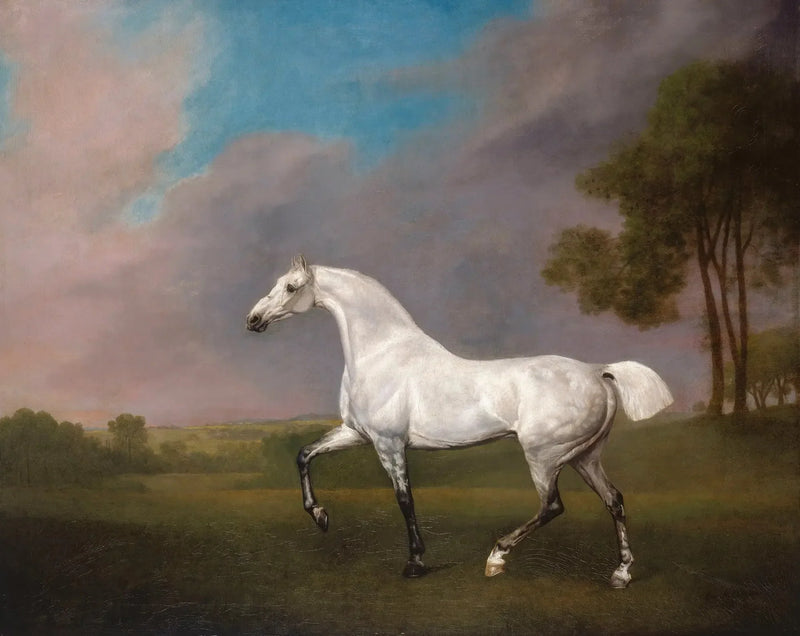 Gri bir at - George Stubbs