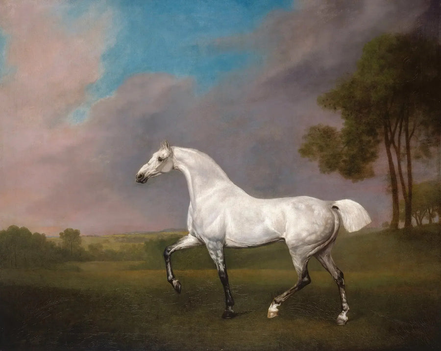 Gri bir at - George Stubbs