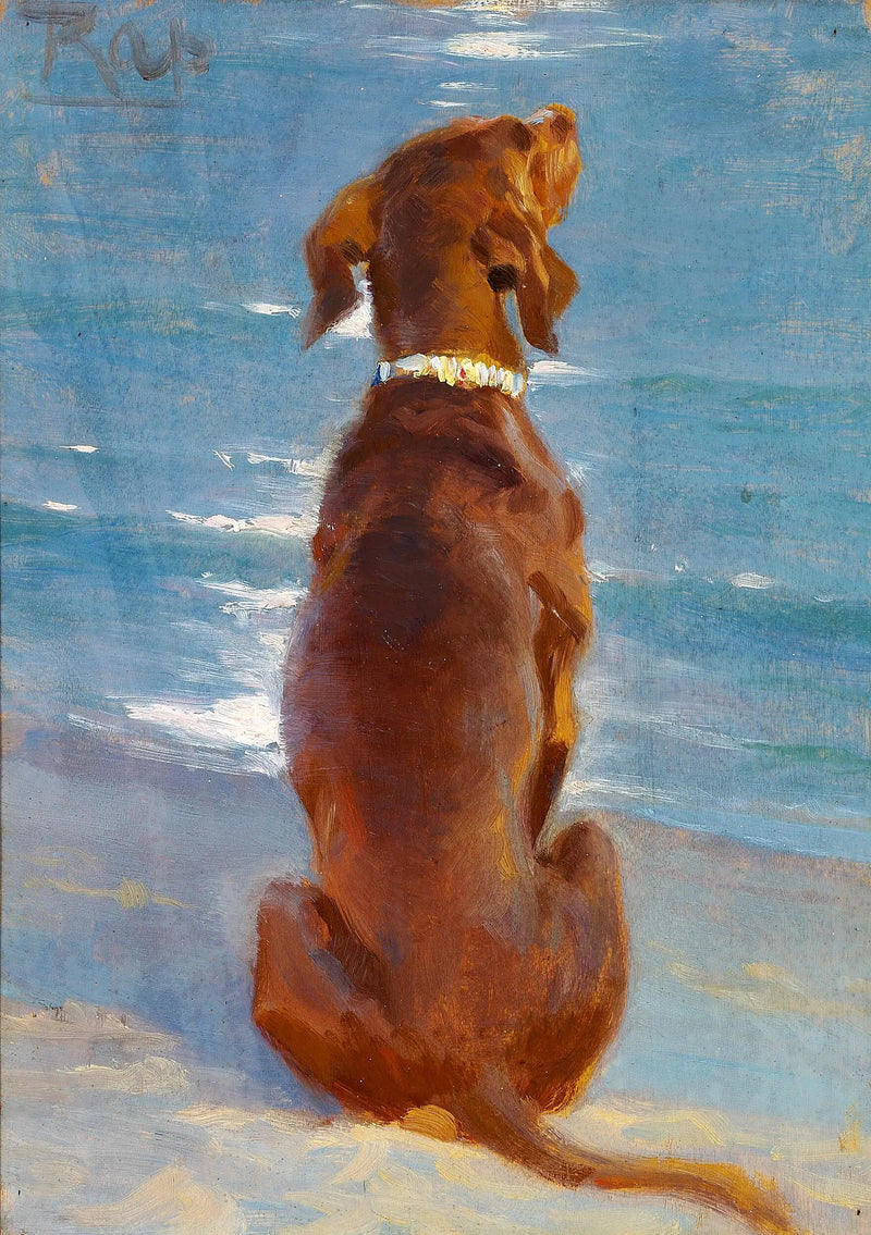 Kahverengi oturan köpek. Rap. - Peder Severin Krøyer