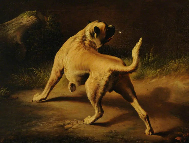 Dikkatli Bir Köpek - Edwin Henry Landseer