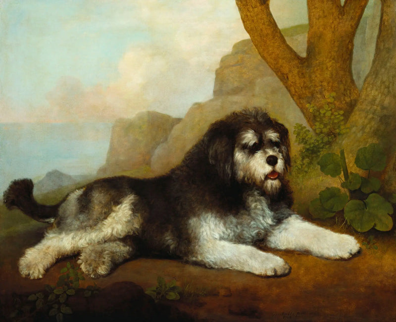 sert bir köpek - George Stubbs
