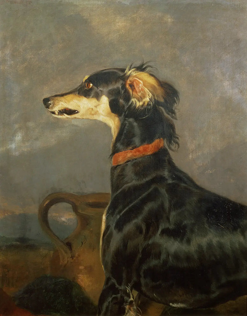 Bir Saluki köpeği - Edwin Henry Landseer