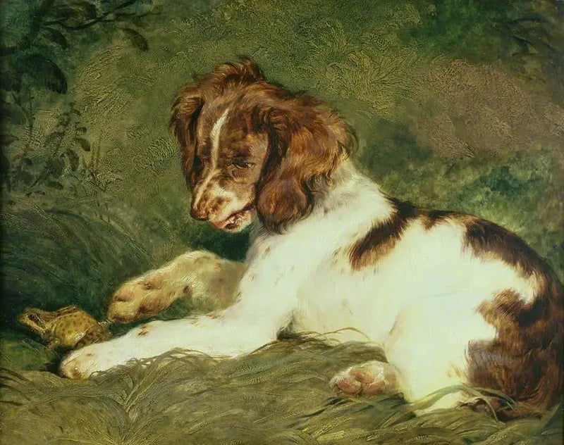 Bir yavru köpek bir kurbağayı rahatsız ediyor - Edwin Henry Landseer