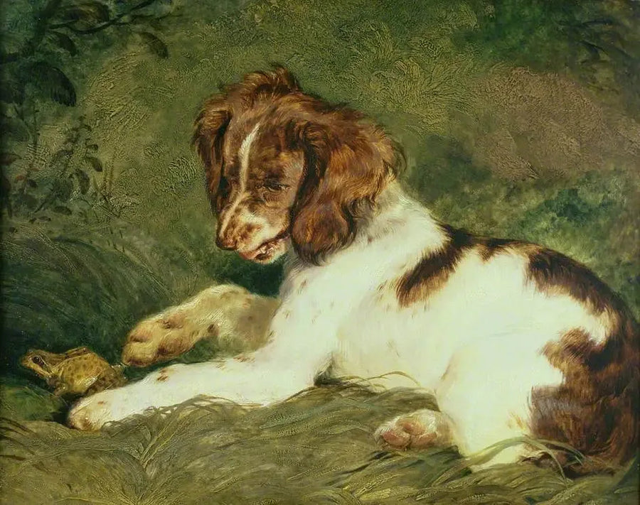 Bir yavru köpek bir kurbağayı rahatsız ediyor - Edwin Henry Landseer