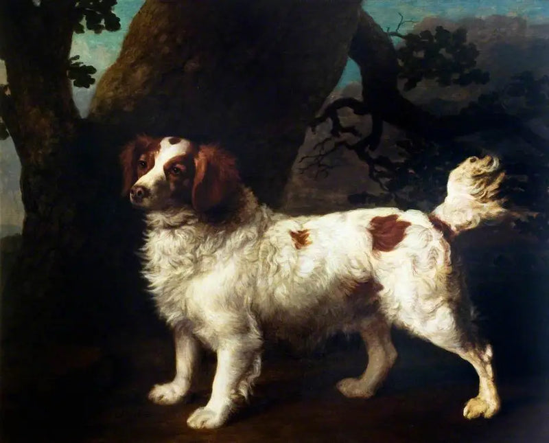Bir Clumber Spaniel - George Stubbs