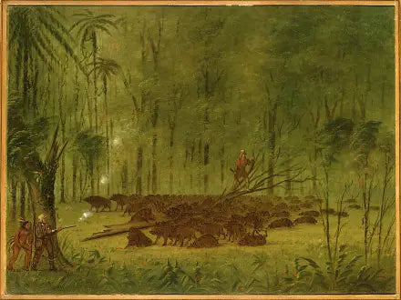 Bir pécari ile savaş - Karayipler - George Catlin
