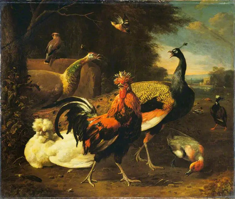 Bir horoz ve diğer kuşlar - Melchior de Hondecoeter