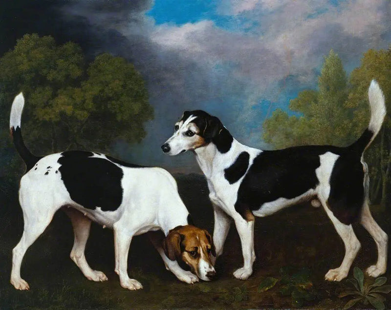 Bir Çift Foxhound - George Stubbs