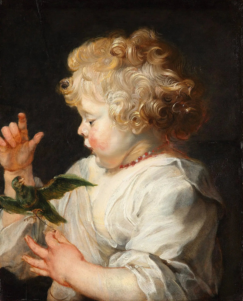 Bir çocuk ve bir kuş - Peter Paul Rubens