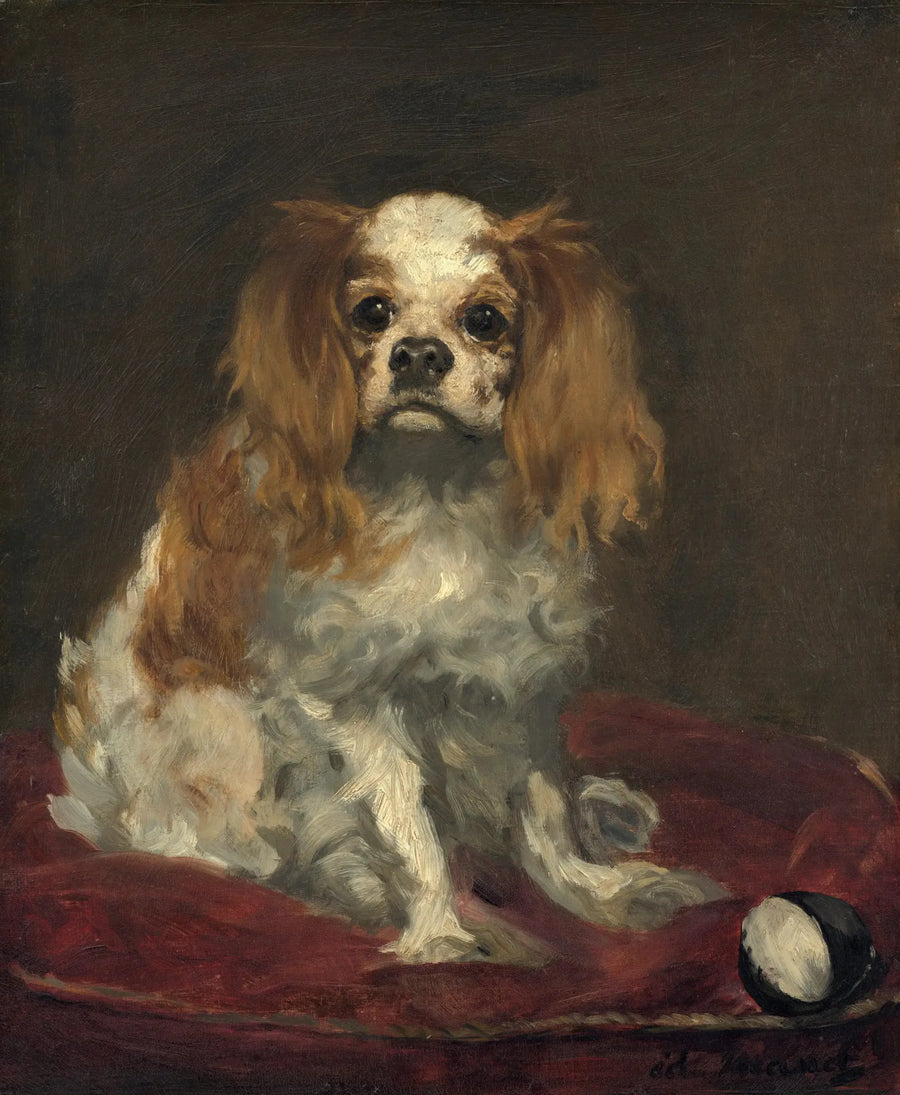 Bir King Charles Spaniel - Édouard Manet