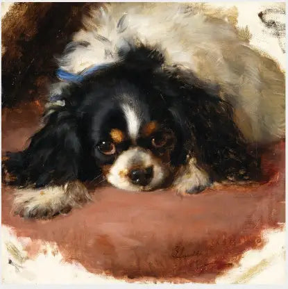 Bir King Charles Spaniel - Edwin Henry Landseer