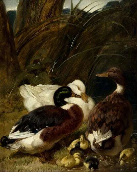 Bir grup ördek - John Frederick Herring, Sr.