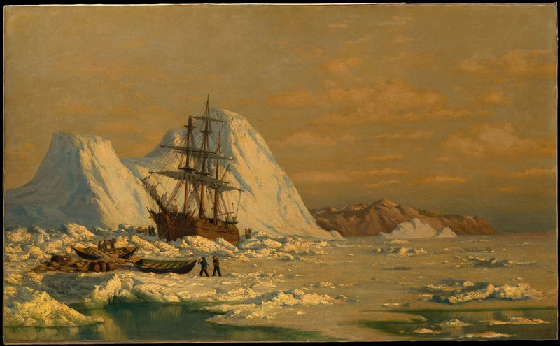 Bir balina avı olayı - William Bradford