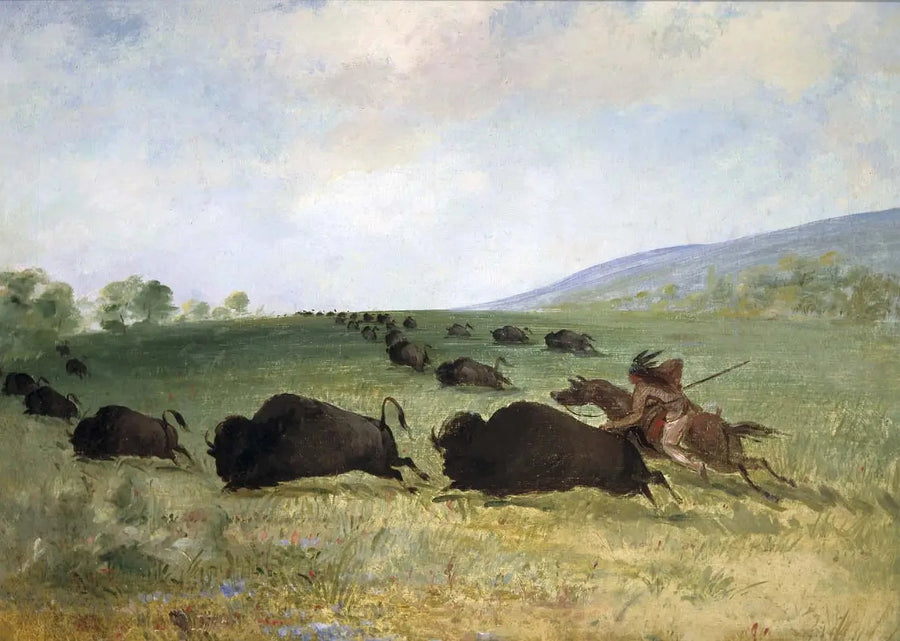 Bir Osage Yerlisi bir öküzü kaldırıyor - George Catlin