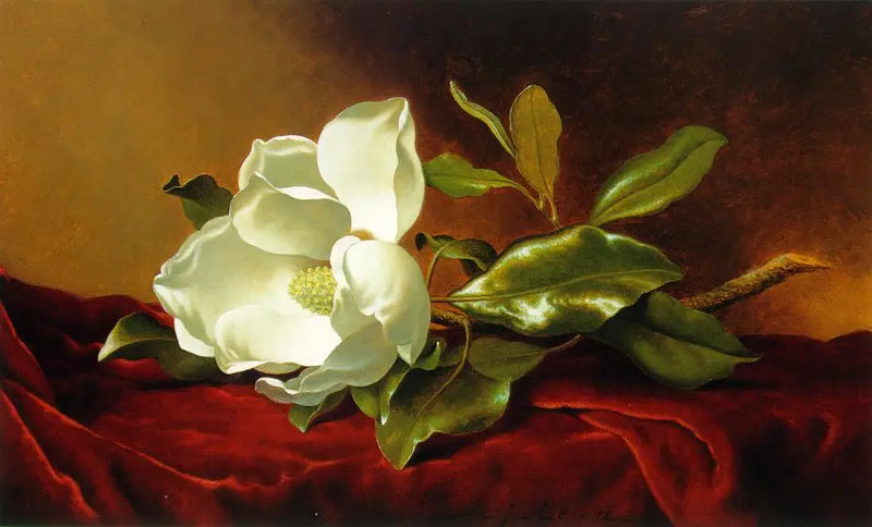 Kırmızı kadife üzerinde bir manolya - Martin Johnson Heade