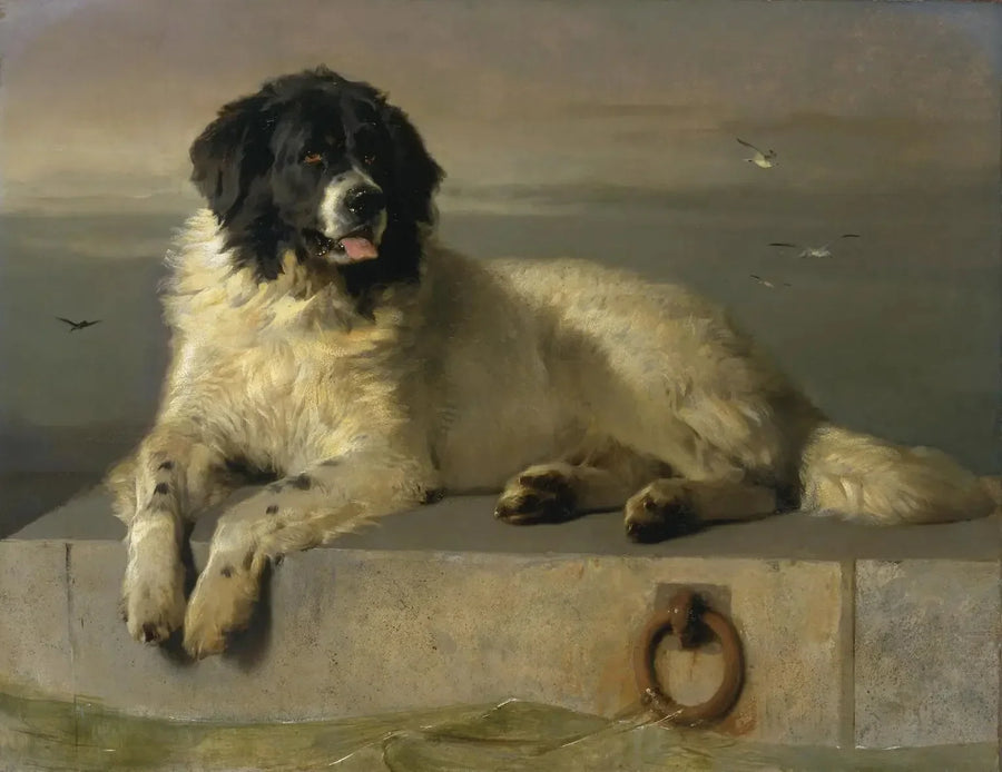 Saygın bir Humane Society üyesi - Edwin Henry Landseer