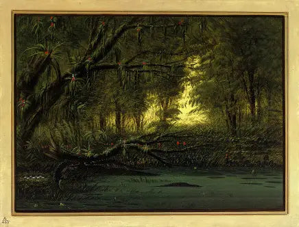 Timsah Yuvası - George Catlin