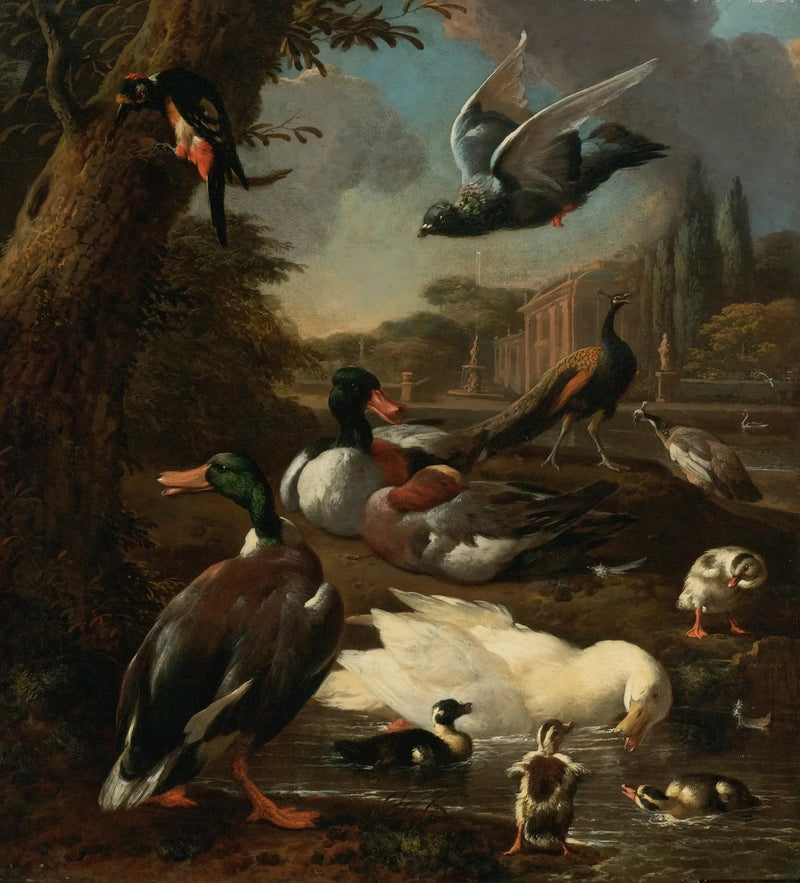 Bir tavus kuşu, bir güvercin, ördekler ve diğer kuşlar bir bahçede - Melchior de Hondecoeter