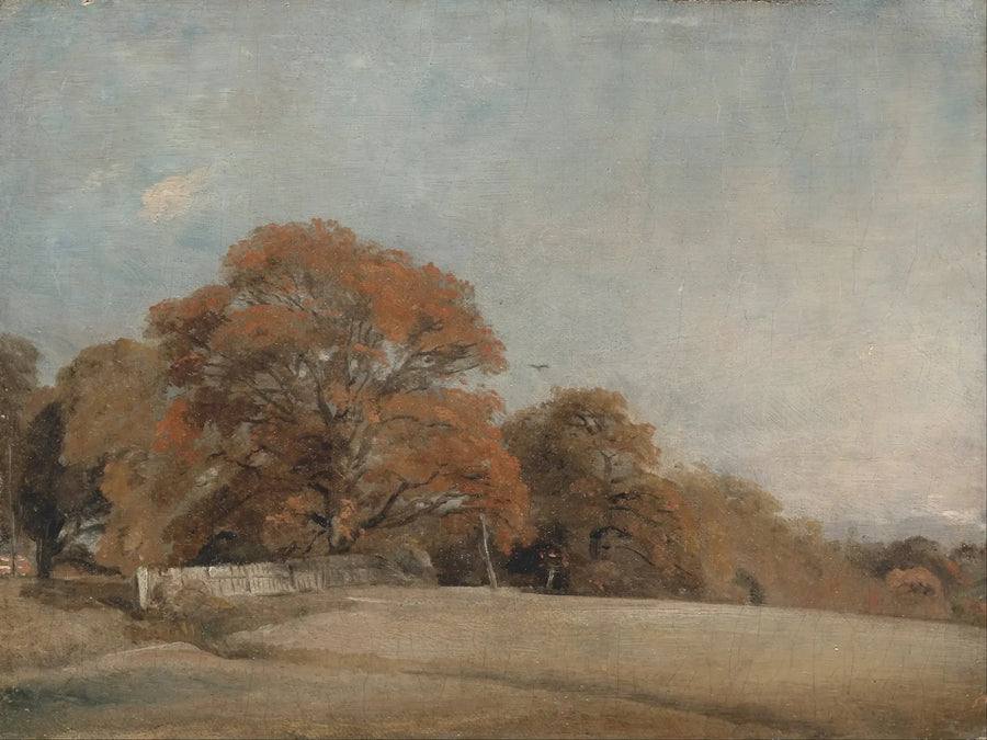 East Bergholt'ta Sonbahar Manzarası - John Constable