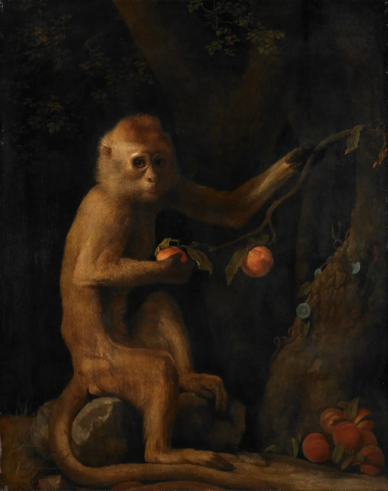 Bir maymun - George Stubbs
