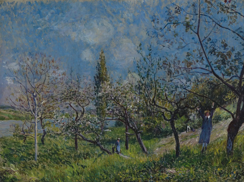 Baharda bir meyve bahçesi, Yazar - Alfred Sisley