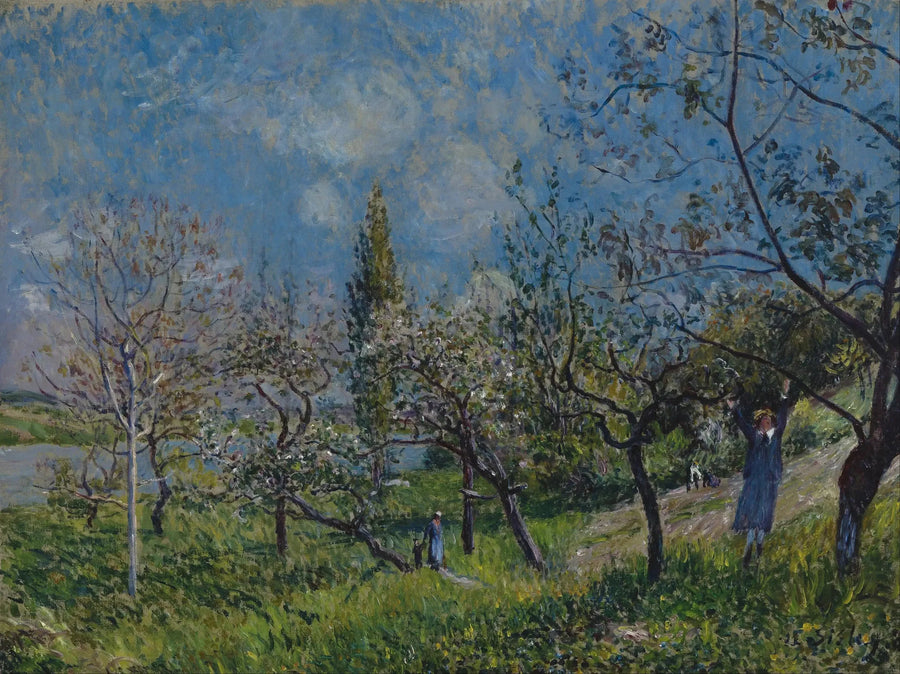 Baharda bir meyve bahçesi, Yazar - Alfred Sisley