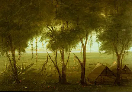 Connibo Köyü - George Catlin