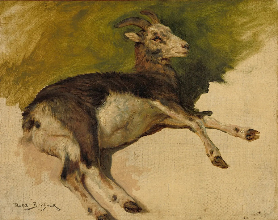 Bir Keçi - Rosa Bonheur