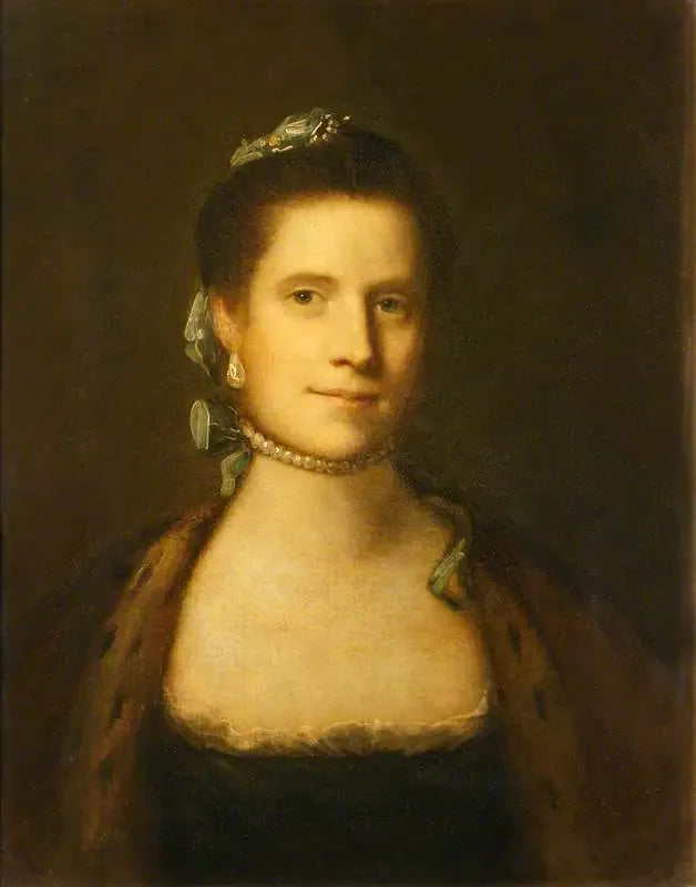 Bilinmeyen Bir Hanımefendi - Joshua Reynolds