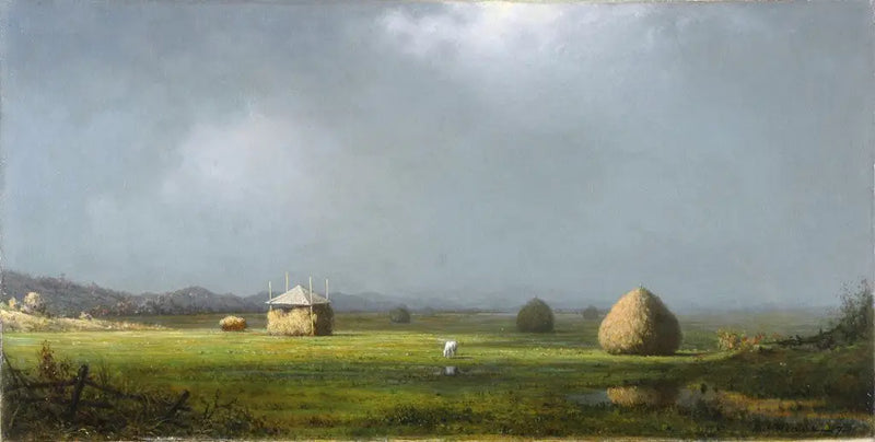 Bulutlu Bir Gün - Martin Johnson Heade
