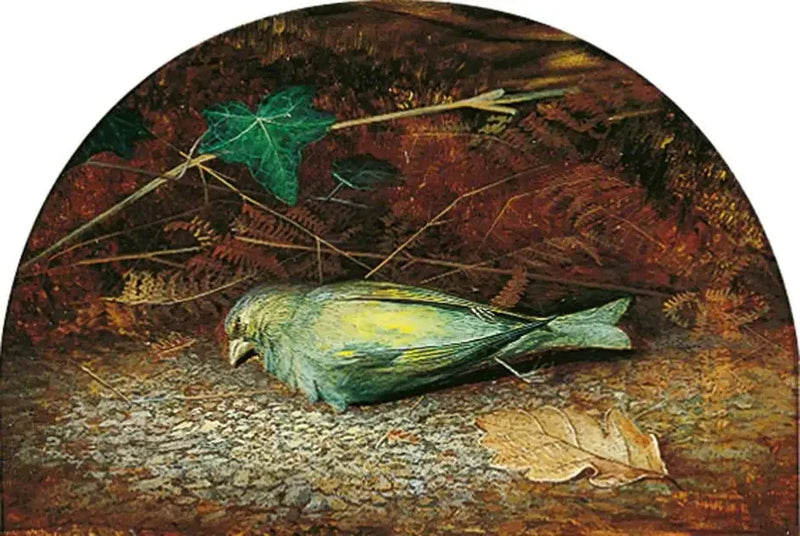 Ölü Bir Serçe - John Atkinson Grimshaw