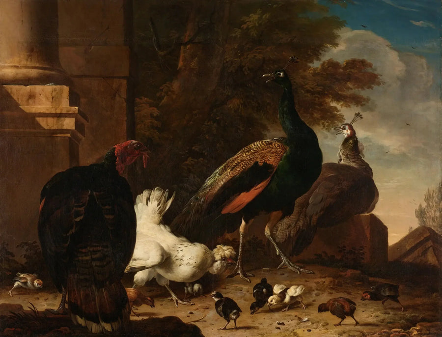 Bir tavuk, peacoklar ve bir hindi - Melchior de Hondecoeter
