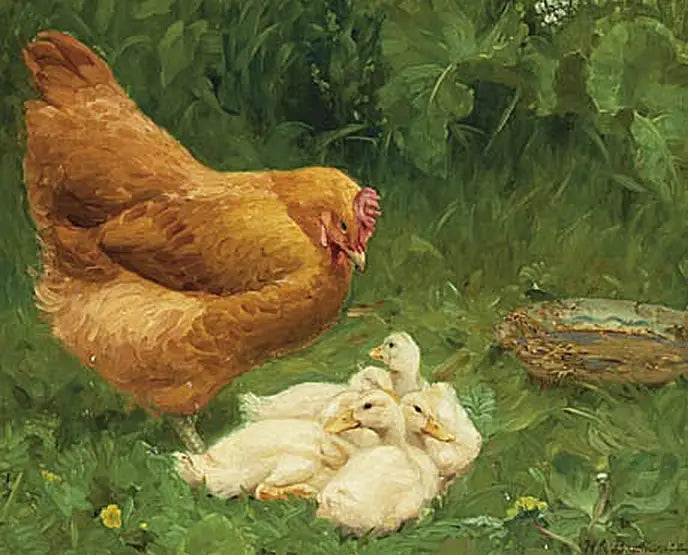 Bir tavuk ve birkaç ördek yavrusu. - H. A. Brendekilde